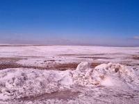 Kasahstani stepis. Foto: Marko Šorin