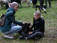 2023. aasta Viljandi Hansapäevade teine päev. Foto: Urmas Saard / Külauudised