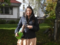 „Aialuule”, autor Lagle Suursild, esmaesitlus. Foto: Urmas Saard / Külauudised