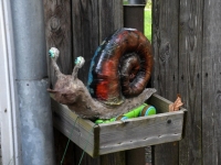 „Aialuule”, autor Lagle Suursild, esmaesitlus. Foto: Urmas Saard / Külauudised