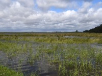 017 Äraspidiselt Uhla-Rotiküla rajal. Foto: Urmas Saard / Külauudised