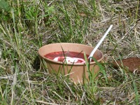 030 Äraspidiselt Uhla-Rotiküla rajal. Foto: Urmas Saard / Külauudised