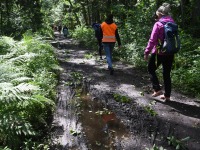 034 Äraspidiselt Uhla-Rotiküla rajal. Foto: Urmas Saard / Külauudised