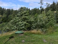 035 Äraspidiselt Uhla-Rotiküla rajal. Foto: Urmas Saard / Külauudised