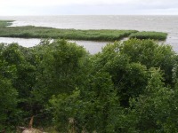 056 Äraspidiselt Uhla-Rotiküla rajal. Foto: Urmas Saard / Külauudised