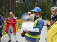 075 Äraspidiselt Uhla-Rotiküla rajal. Foto: Urmas Saard / Külauudised