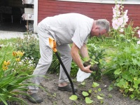Avatud talude päev 2022. Foto Urmas Saard Külauudised