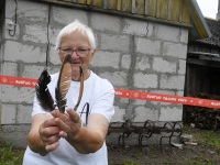 Avatud talude päev 2022. Foto Urmas Saard Külauudised