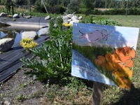 Avatud talude päeval Riina ja Taivo juures. Foto: Urmas Saard / Külauudised
