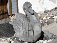 Avatud talude päeval Riina ja Taivo juures. Foto: Urmas Saard / Külauudised