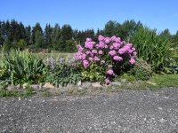 Avatud talude päeval Sillaotsa talus. Foto: Urmas Saard / Külauudised