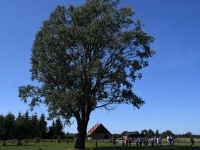 Avatud talude päeval Uue-Jaani talus. Foto: Urmas Saard / Külauudised