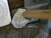 Avatud talude päeval Uue-Jaani talus. Foto: Urmas Saard / Külauudised