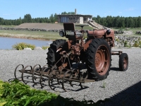 Avatud talude päeval Uue-Jaani talus. Foto: Urmas Saard / Külauudised