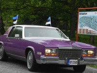 Eesti lipu 138. sünnipäeva tähistamine Sindis. Foto: Urmas Saard / Külauudised