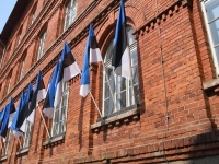 Eesti lipu 141. sünnipäev Sindis. Foto: Urmas Saard / Külauudised