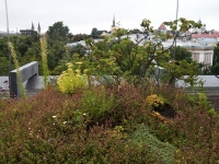 010 Ekstaatiline tants Solarise katuseaias. Foto Urmas Saard Külauudised