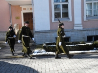 Emakeelepäeval neljandat korda presidendi kantselei ees. Foto: Urmas Saard / Külauudised