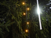 Esimesel adventpühal Sindi Keskväljakul. Foto: Urmas Saard / Külauudised