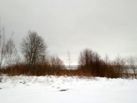 Vaade Peipsile teel Kasepäält Raja külasse. Foto: Jaan Lukas / Külauudised
