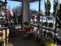 Grossi toidupoe avamisel Paikusel. Foto: Urmas Saard / Külauudised