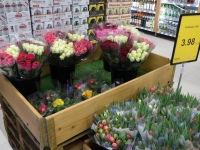 Grossi toidupoe avamisel Paikusel. Foto: Urmas Saard / Külauudised