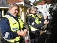 Helkuripuu ehtijad Pärnu Lastepargis. Foto: Urmas Saard / Külauudised