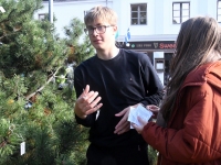 Helkuripuu ehtijad Pärnu Lastepargis. Foto: Urmas Saard / Külauudised