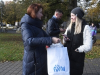 Helkuripuu ehtijad Pärnu Lastepargis. Foto: Urmas Saard / Külauudised