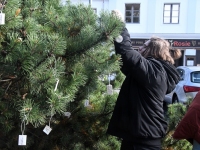 Helkuripuu ehtijad Pärnu Lastepargis. Foto: Urmas Saard / Külauudised