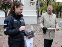 Helkuripuu ehtimisel Pärnu Lastepargis. Foto: Urmas Saard / Külauudised
