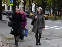 Helkuripuu ehtimisel Pärnu Lastepargis. Foto: Urmas Saard / Külauudised