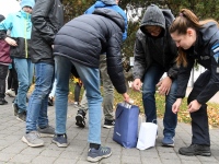 Helkuripuu ehtimisel Pärnu Lastepargis. Foto: Urmas Saard / Külauudised