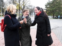 Helkuripuu ehtimisel Pärnu Lastepargis. Foto: Urmas Saard / Külauudised