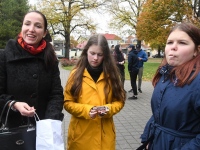 Helkuripuu ehtimisel Pärnu Lastepargis. Foto: Urmas Saard / Külauudised