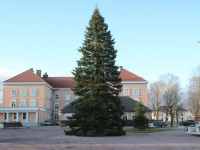 009 Hõbenulg on Otepääl käesoleva aasta jõulupuu. Foto: Monika Otrokova