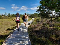Indra Reinpuuga Pärnumaal. Foto: Ave Teeääre