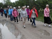 Jaan Alliksoo ehitatud Hiiumaa Eifel ja nn Disneyland. Foto: Urmas Saard / Külauudised