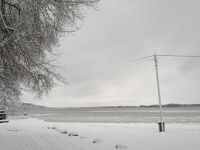 Talvine tee Kuremaa järveni. Foto: Jaan Lukas / Külauudised