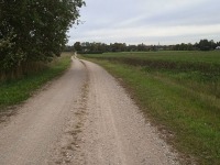 Sügisene külatee Jõgeva vallas Võduvere külas. Foto :Jaan Lukas