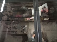 Metsavenna punker Jõgewa Militaarmuuseumis. Foto: Jaan Lukas