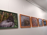 Joosep Ailiste fotod Sindi raamatukogus. Foto: Urmas Saard / Külauudised