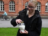 Julius Friedrich Seljamaa 80. surma-aastapä Sindis. Foto: Urmas Saard / Külauudised
