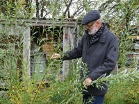 Kaljo Kaasik mälestuste pildigaleriis. Foto: Urmas Saard / Külauudised