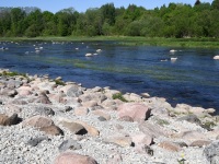 Cesise Y-klubiga Sindi jälgedel. Foto: Urmas Saard / Külauudised