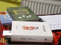 Kirjandushuviliste kohtumine loomingulise koosseisuga Raeküla kogukonnakeskuses. Foto: Urmas Saard / Külauudised