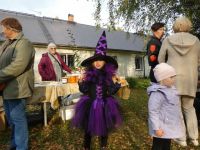 Kostüümipreemia laureaat Väike Nõid. Foto: Tapiku Külade Selts