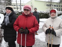 Kolmekuningapäeval Raeküla Vanakooli keskuse instalatsiooni juures. Foto: Urmas Saard / Külauudised