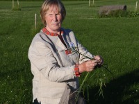 017 Līgo Ķoņu kalns’i mäel. Foto: Urmas Saard / Külauudised