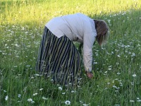 029 Līgo Ķoņu kalns’i mäel. Foto: Urmas Saard / Külauudised